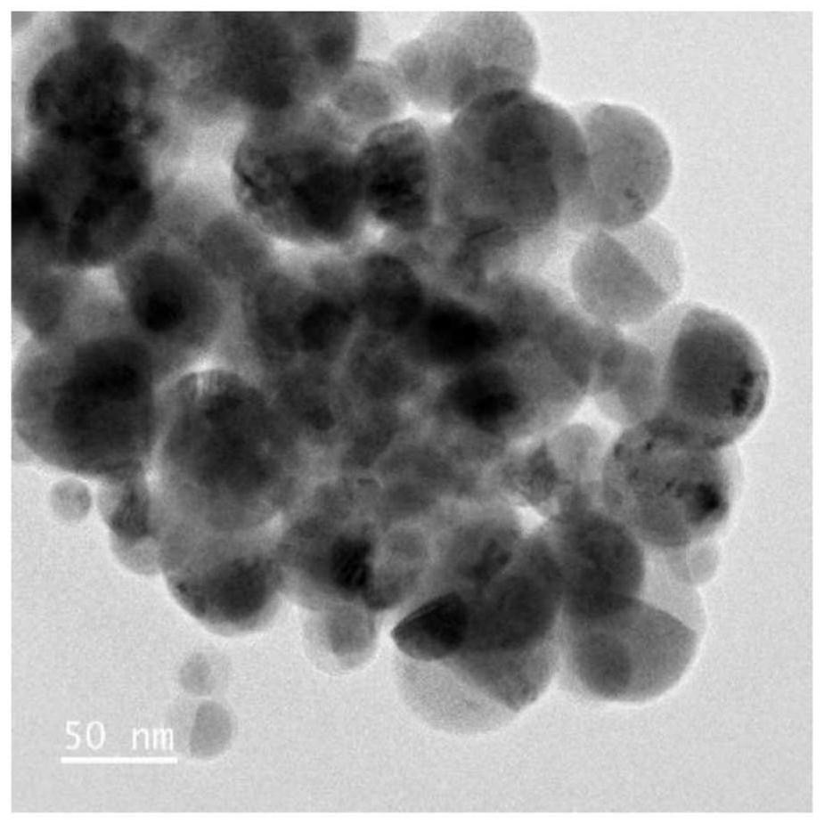 Tumor microenvironment response type nano assembly and application thereof in tumor combined treatment