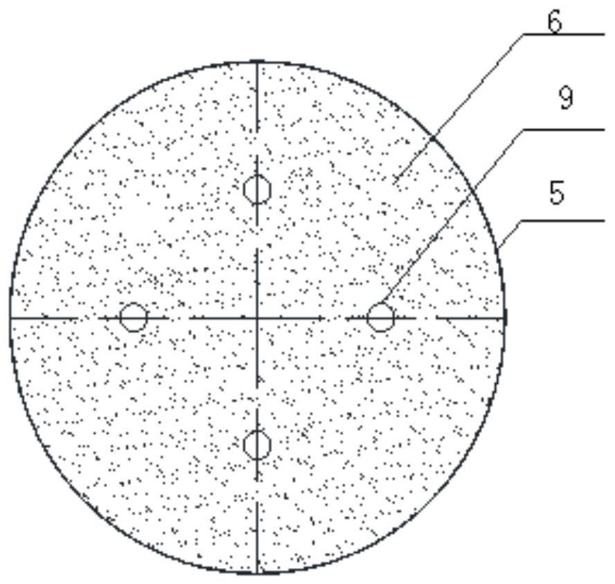 A rare gas adsorption and trapping device and its adsorption and trapping process and application