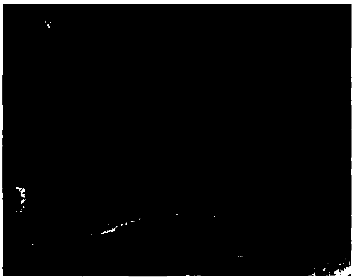 Core-shell nano-rod with ferroferric oxide coated with nickel-loaded carbonization layer and preparation method and application of core-shell nano-rod