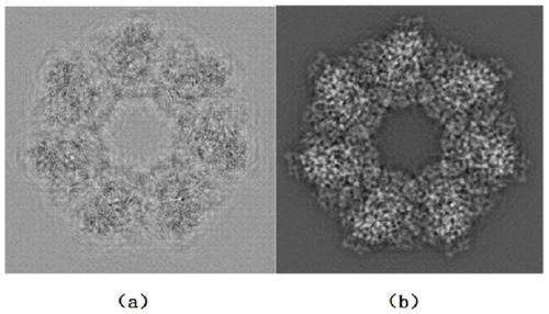 Scanning electron microscopic imaging method