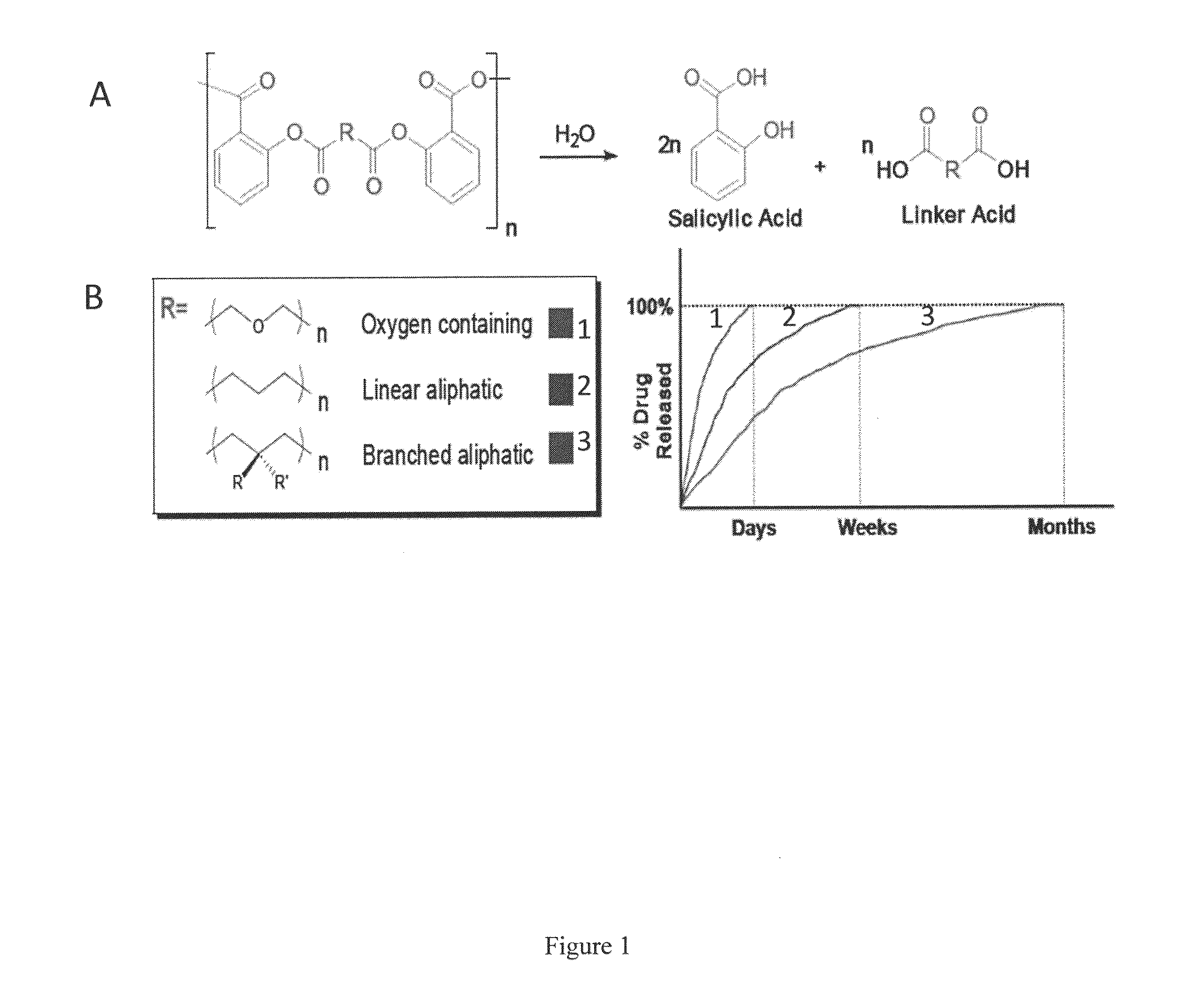 Therapeutic compositions for bone repair