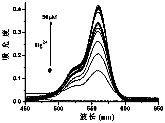 Novel mercury ion fluorescent probe based on rhodamine B as well as preparation method and application thereof