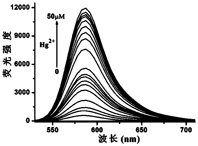 Novel mercury ion fluorescent probe based on rhodamine B as well as preparation method and application thereof