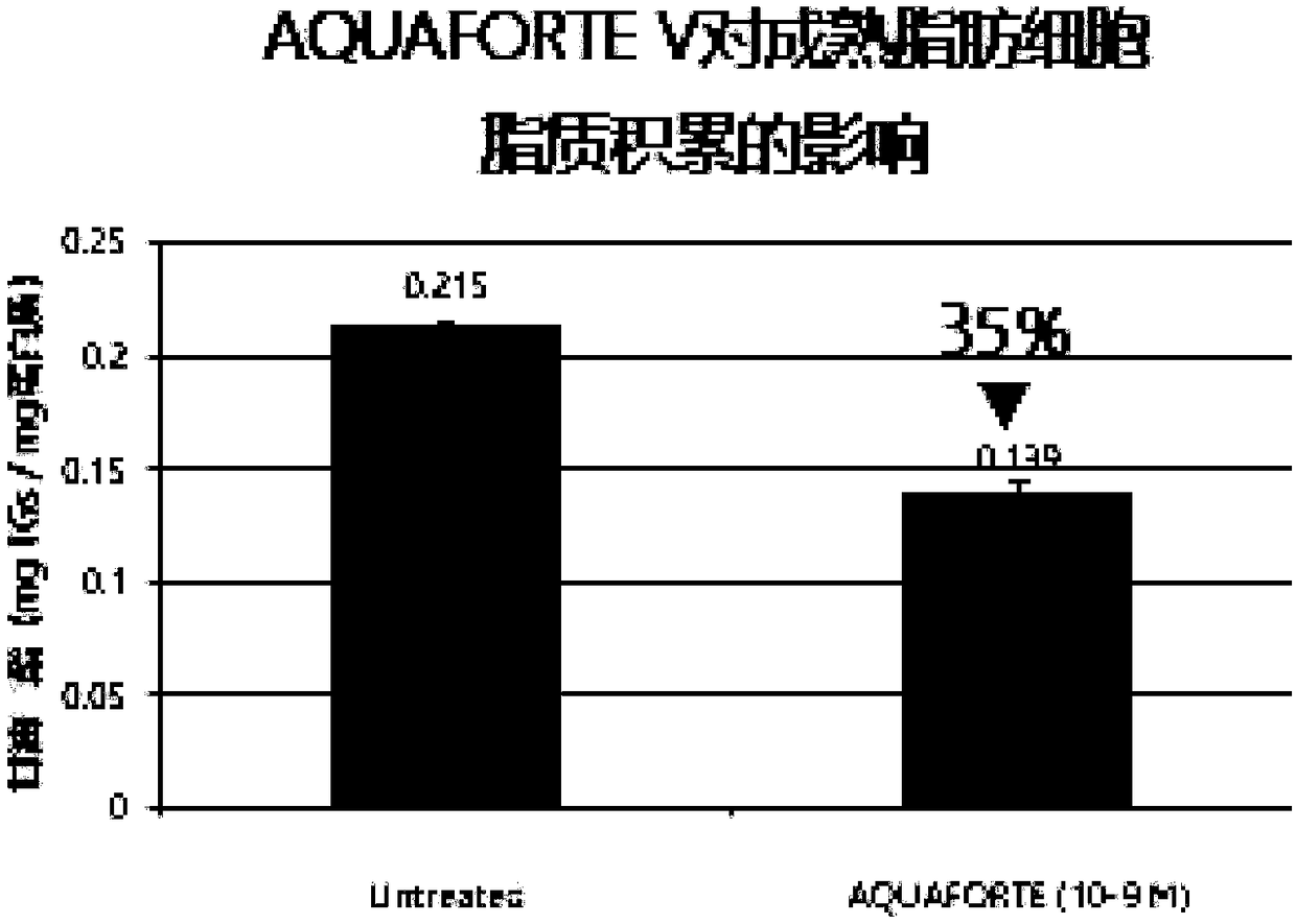 Plankton metabolite, plankton fermentation solution and application thereof