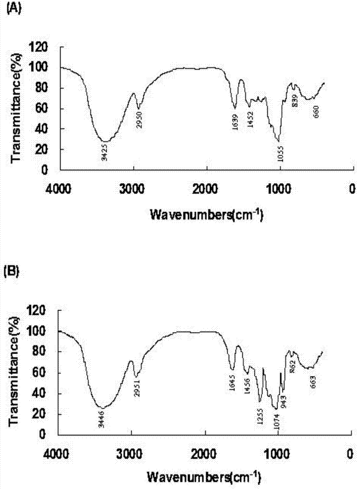 Phosphorylated radix cyathulae polysaccharide, enema thereof and preparation method thereof