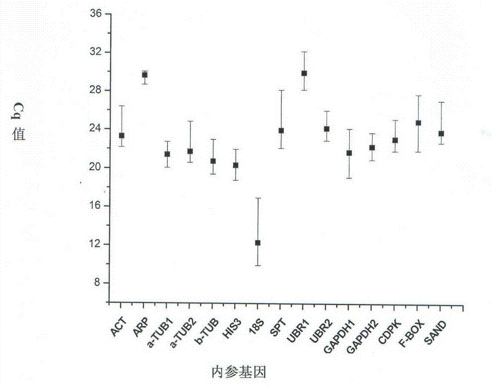 Method for screening real-time fluorescence quantification PCR internal reference molecules of syntrichia caninervis in desert