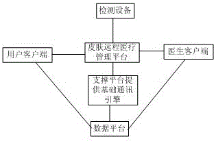 Skin remote medical system based on mobile terminal