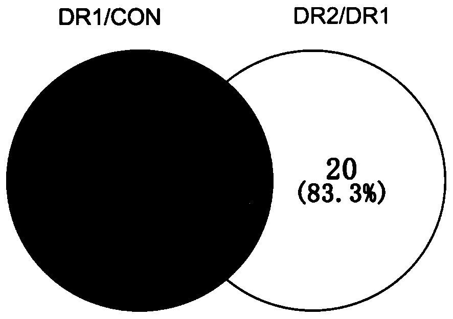 Method for evaluating freeze thawing degree of meat based on iTRAQ labelled protein