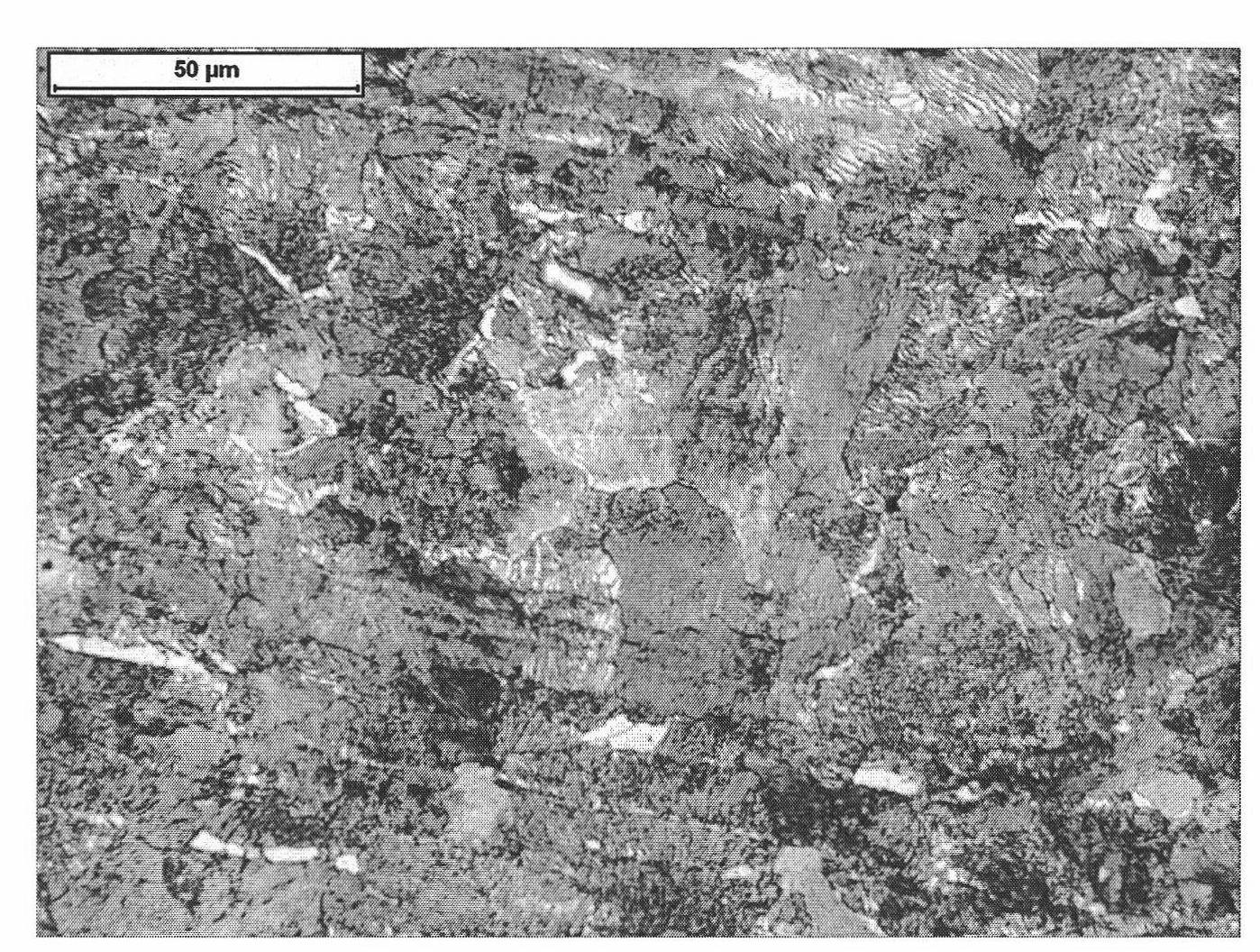 Method for producing 65Mn hot rolled steel plate