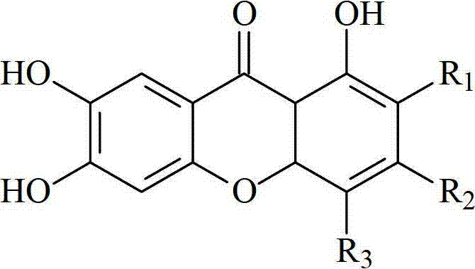 Application of mangiferin compound or mango extraction as pancreatic lipase inhibitor and to preparation of medicament or food for preventing and treating obesity