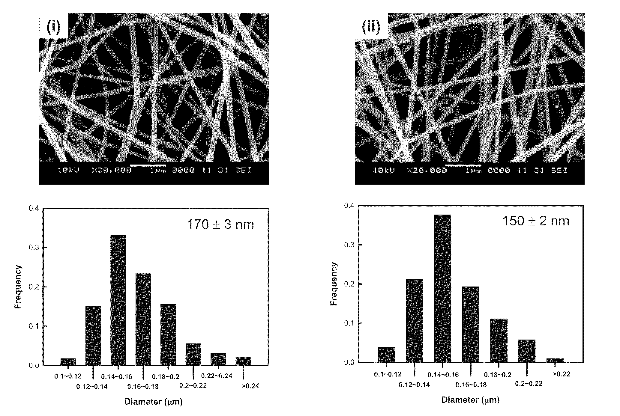 Antimicrobial Nanostructured Hydrogel Web Containing Silver