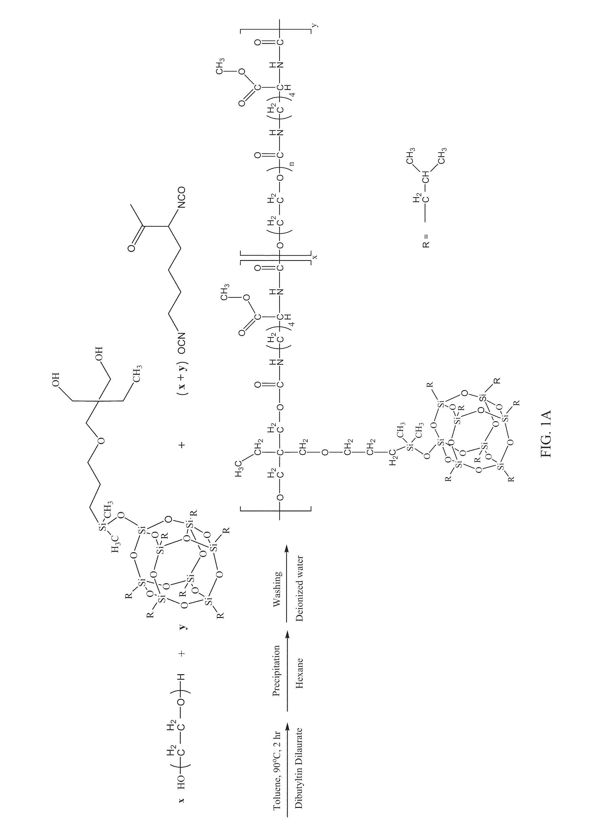 Antimicrobial Nanostructured Hydrogel Web Containing Silver