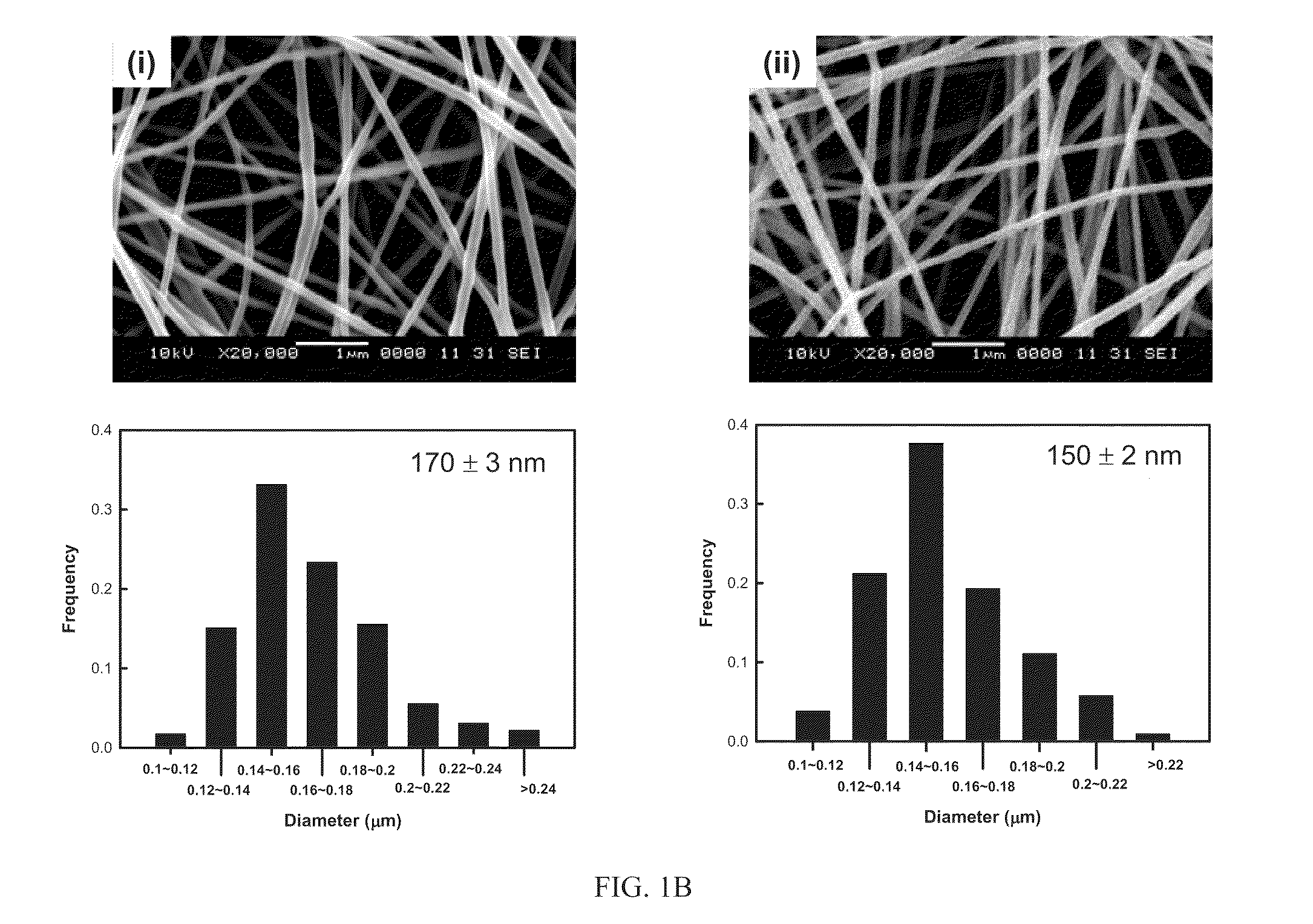 Antimicrobial Nanostructured Hydrogel Web Containing Silver