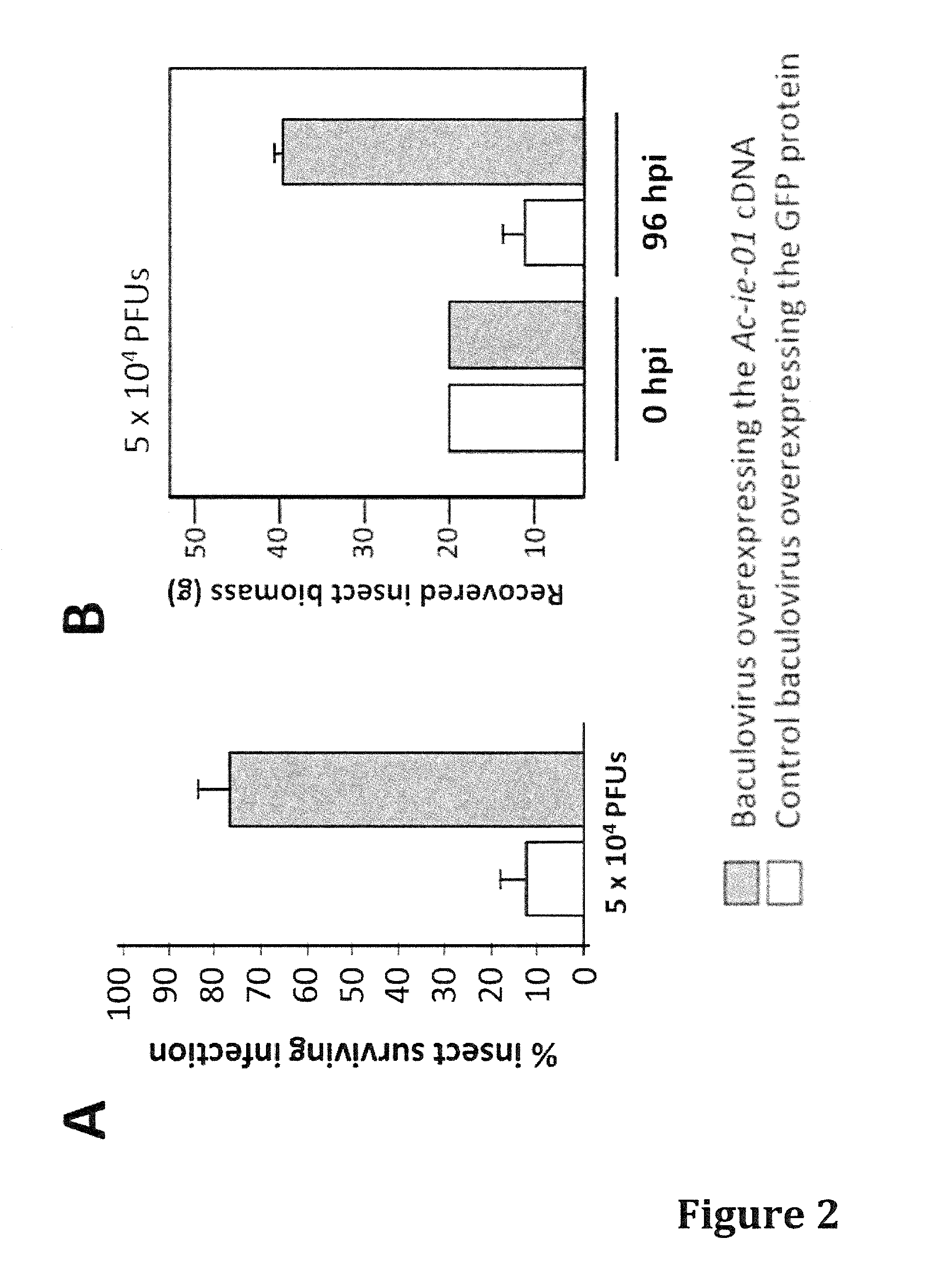 Baculovirus system for expressing proteins forming virus-like particles