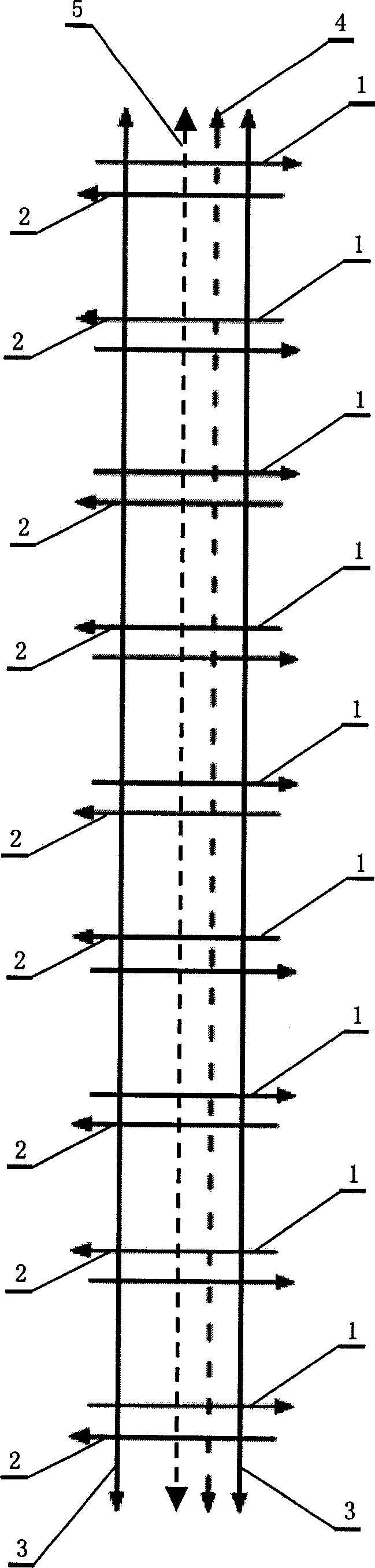 Road net diverging mode adequate for city development axial