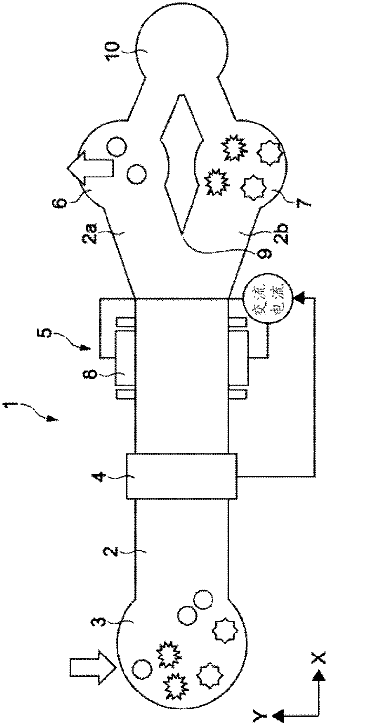 Cell sorter and cell sorting method