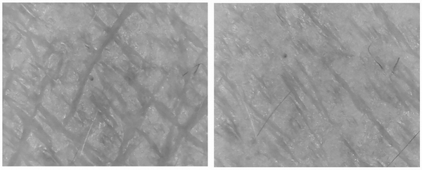 Tea extract composition skin care product and preparation method thereof