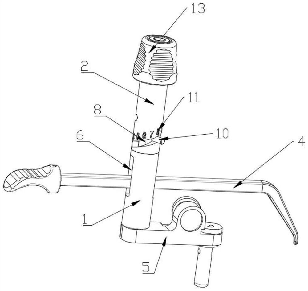 Adjustable tibia probe