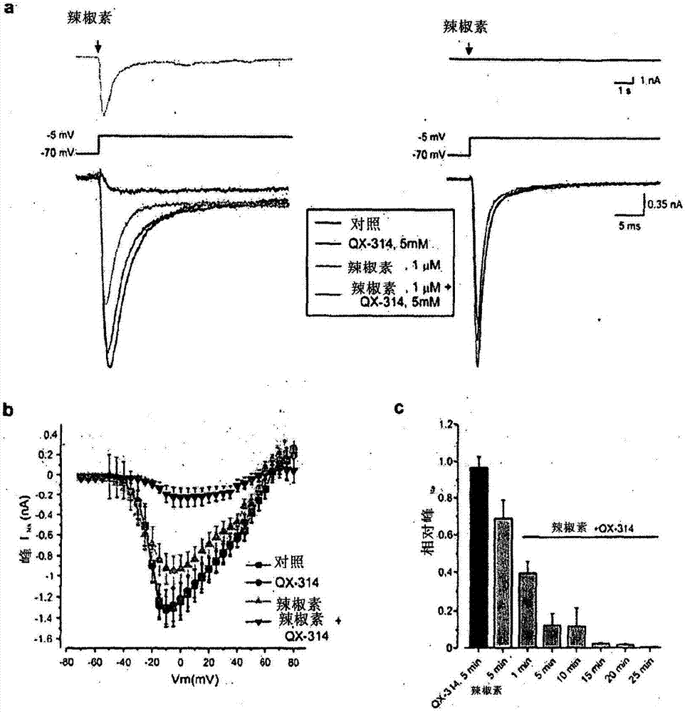 Methods, compositions, and kits for treating pain and pruritis