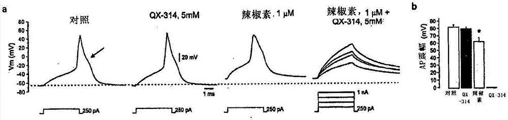 Methods, compositions, and kits for treating pain and pruritis