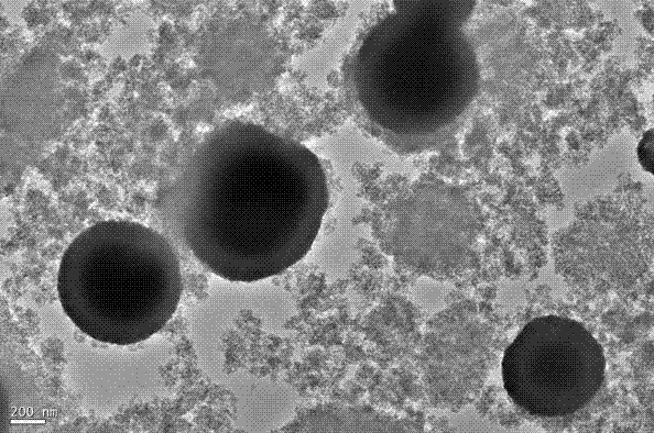 Preparation of superparamagnetic mesoporous molecularly imprinted polymer of core-shell structure and application as solid phase extractant