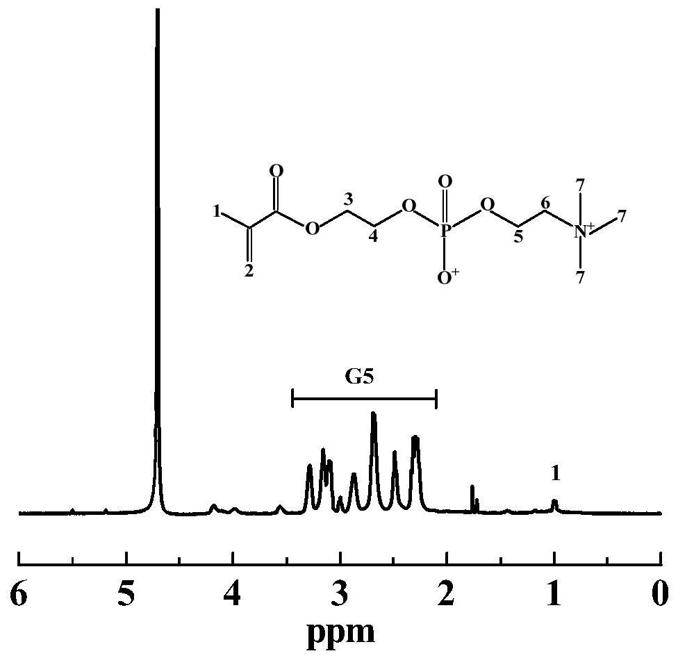 A kind of MPC-modified dendrimer-wrapped gold nanoparticles and its preparation and application