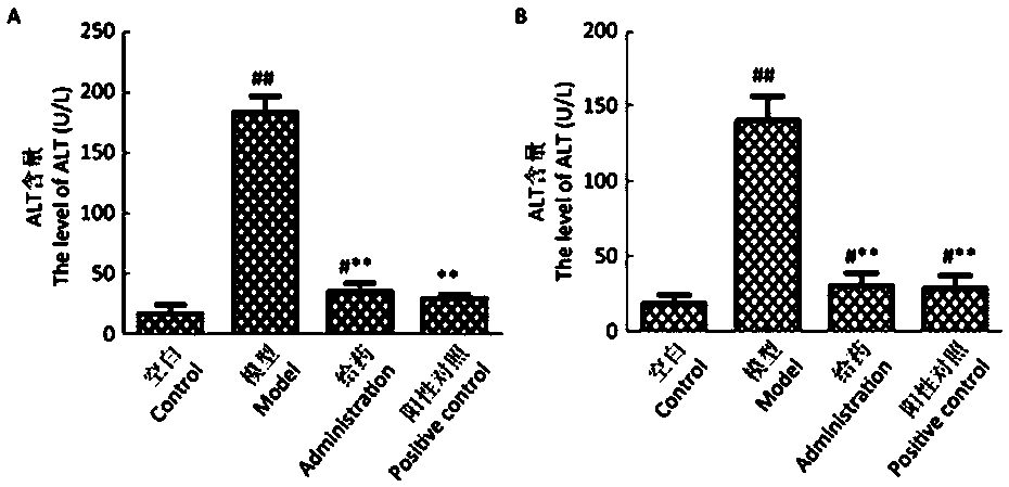 Application of aqueous extract of cordyceps militaris sporophore in liver protection product