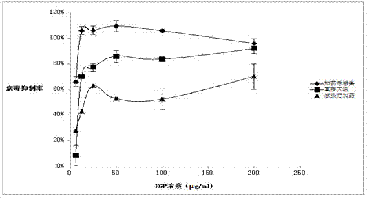 Application of eucheuma gelatinae polysaccharide to preparation of medicines for inhibiting respiratory viruses