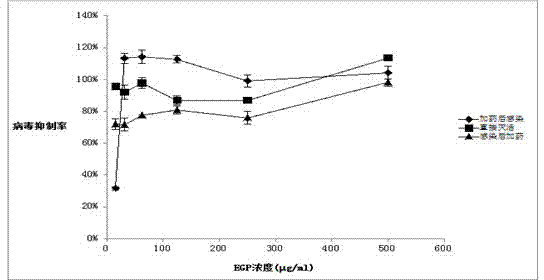 Application of eucheuma gelatinae polysaccharide to preparation of medicines for inhibiting respiratory viruses