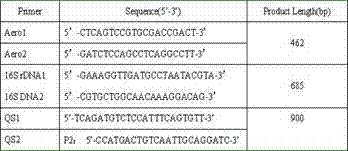 Method for quickly detecting pathogenic aeromonas hydrophila by multiple polymerase chain reactions (PCRs)