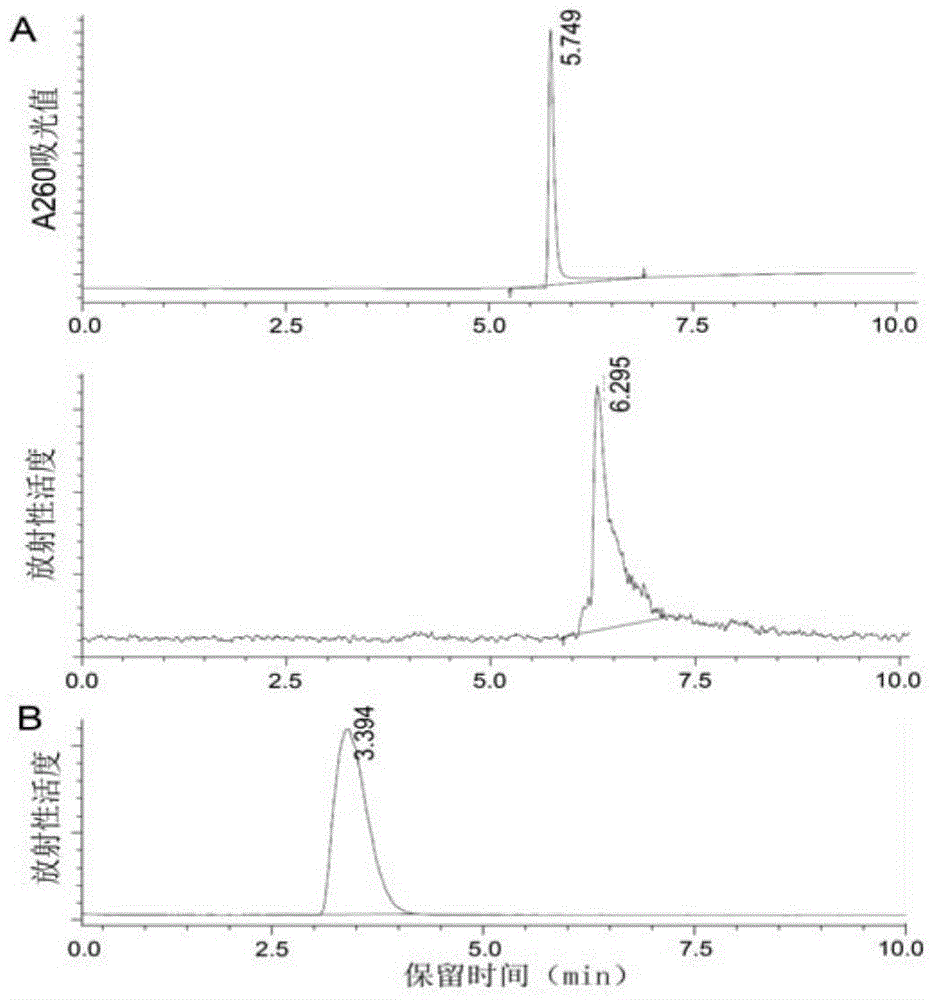 Radionuclide marked microRNA-155 targeting probe and application thereof in tumor imaging