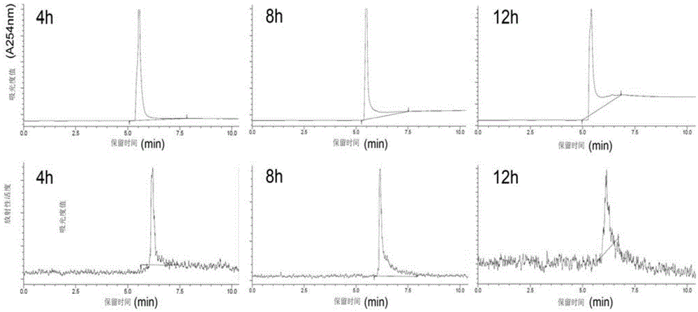 Radionuclide marked microRNA-155 targeting probe and application thereof in tumor imaging