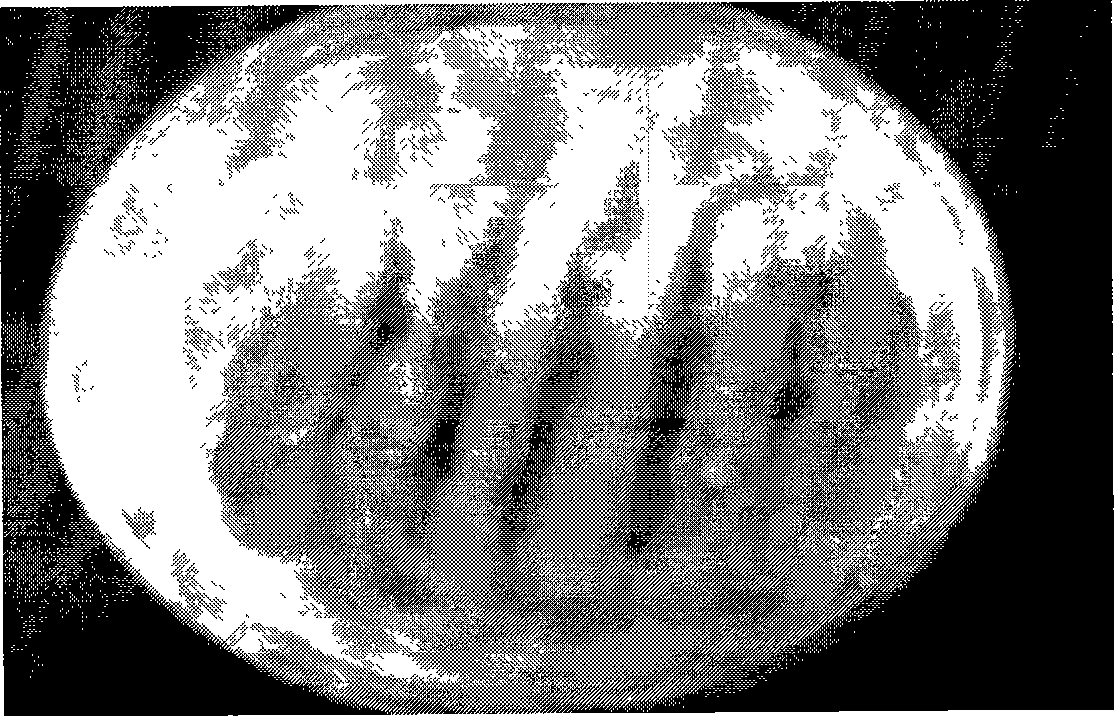 Eupenicillium javanicum strain, and screening culture method and use thereof