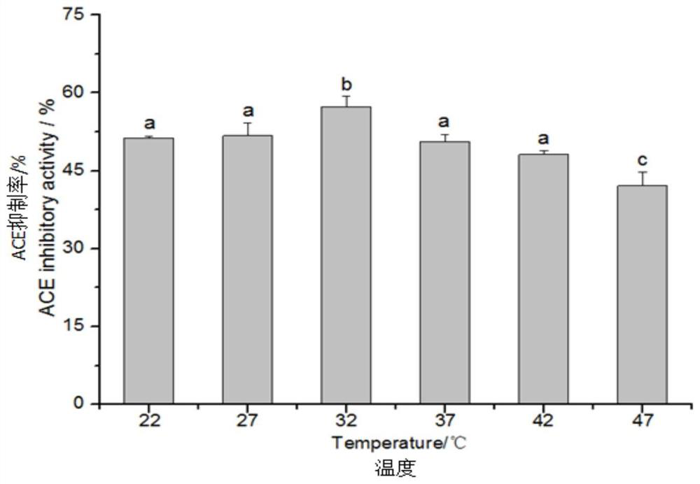 Angiotensin-converting enzyme inhibitory peptide derived from Enteromorpha and its preparation method and application