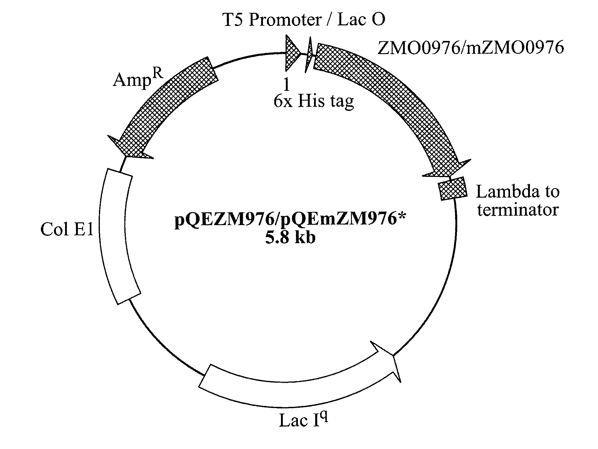 Industrial Applications of A Novel Aldo/Keto Reductase Of Zymomonas Mobilis