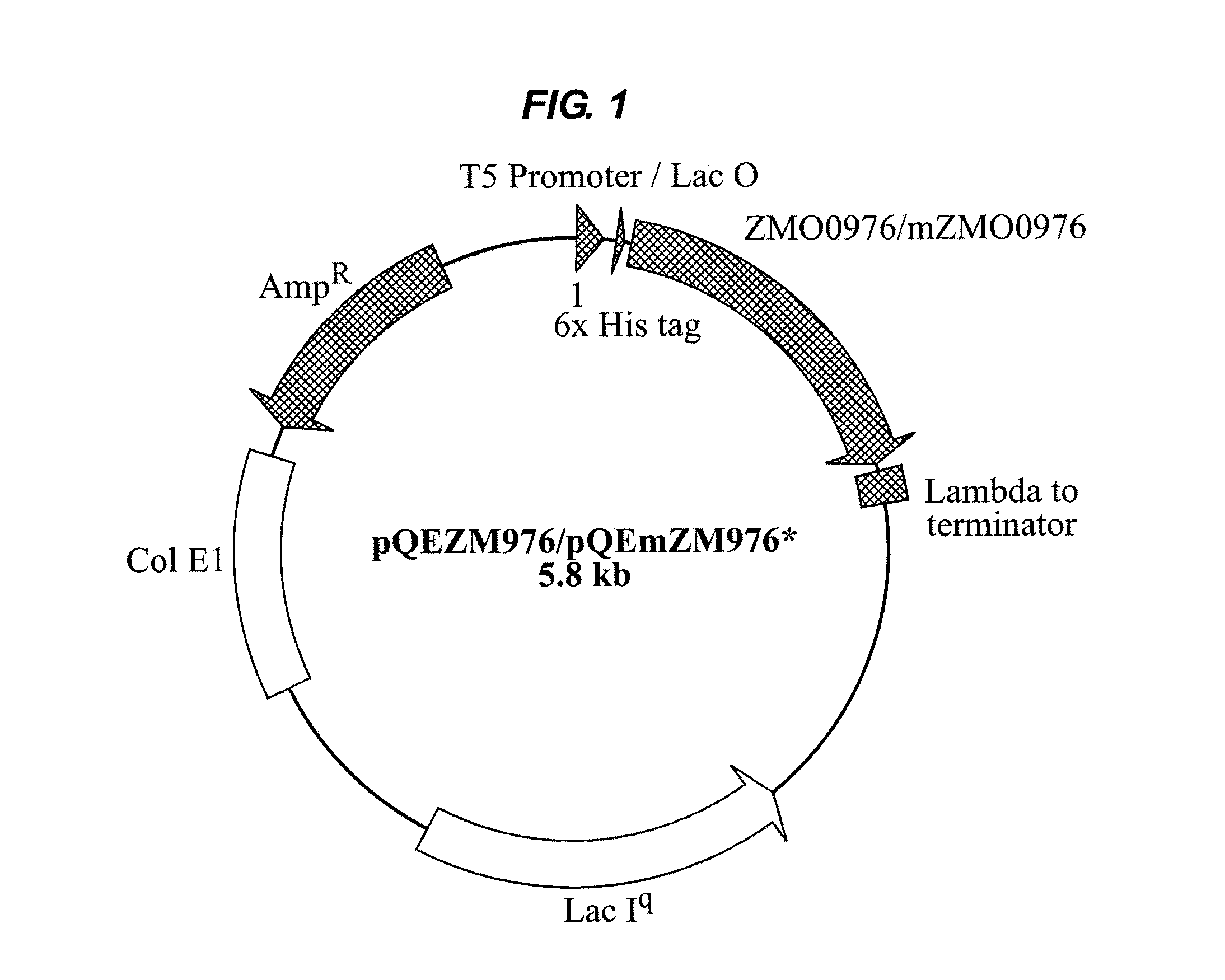 Industrial Applications of A Novel Aldo/Keto Reductase Of Zymomonas Mobilis