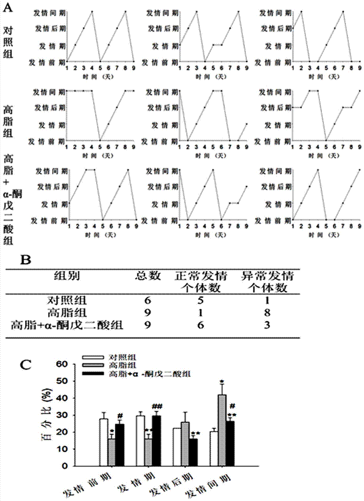 Application of alpha-ketoglutaric acid to improvement of animal reproduction function deficit caused by high fat diet