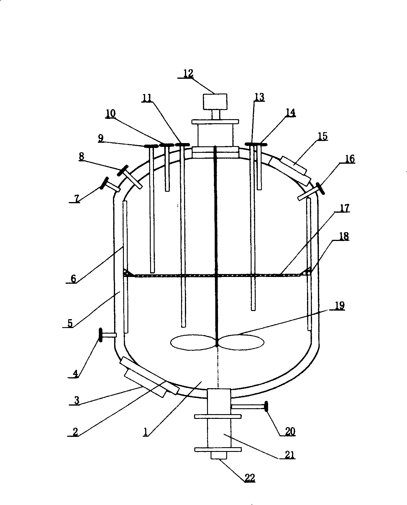 Multifunctional reactor for preparing ionic liquid