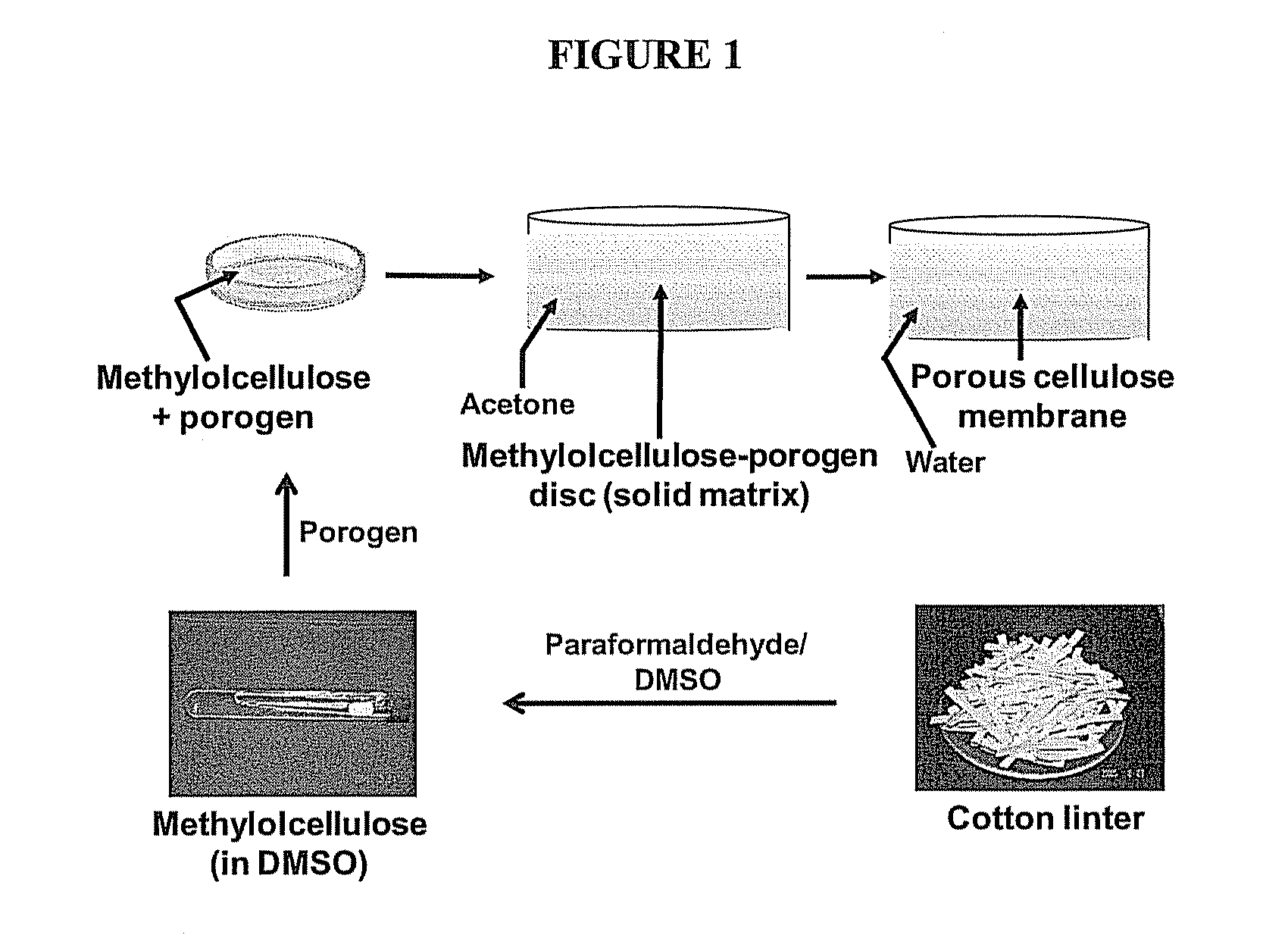 Cellulose Based Heart Valve Prosthesis