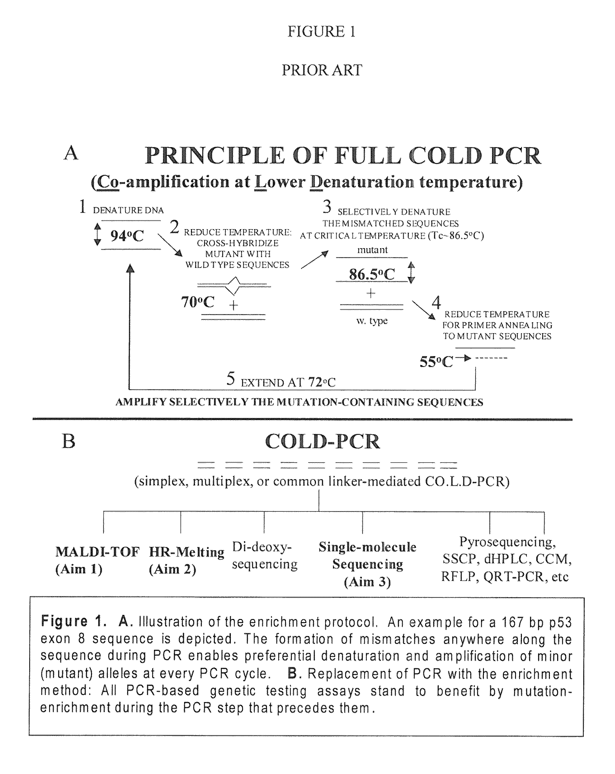 Step-up method for COLD-PCR enrichment