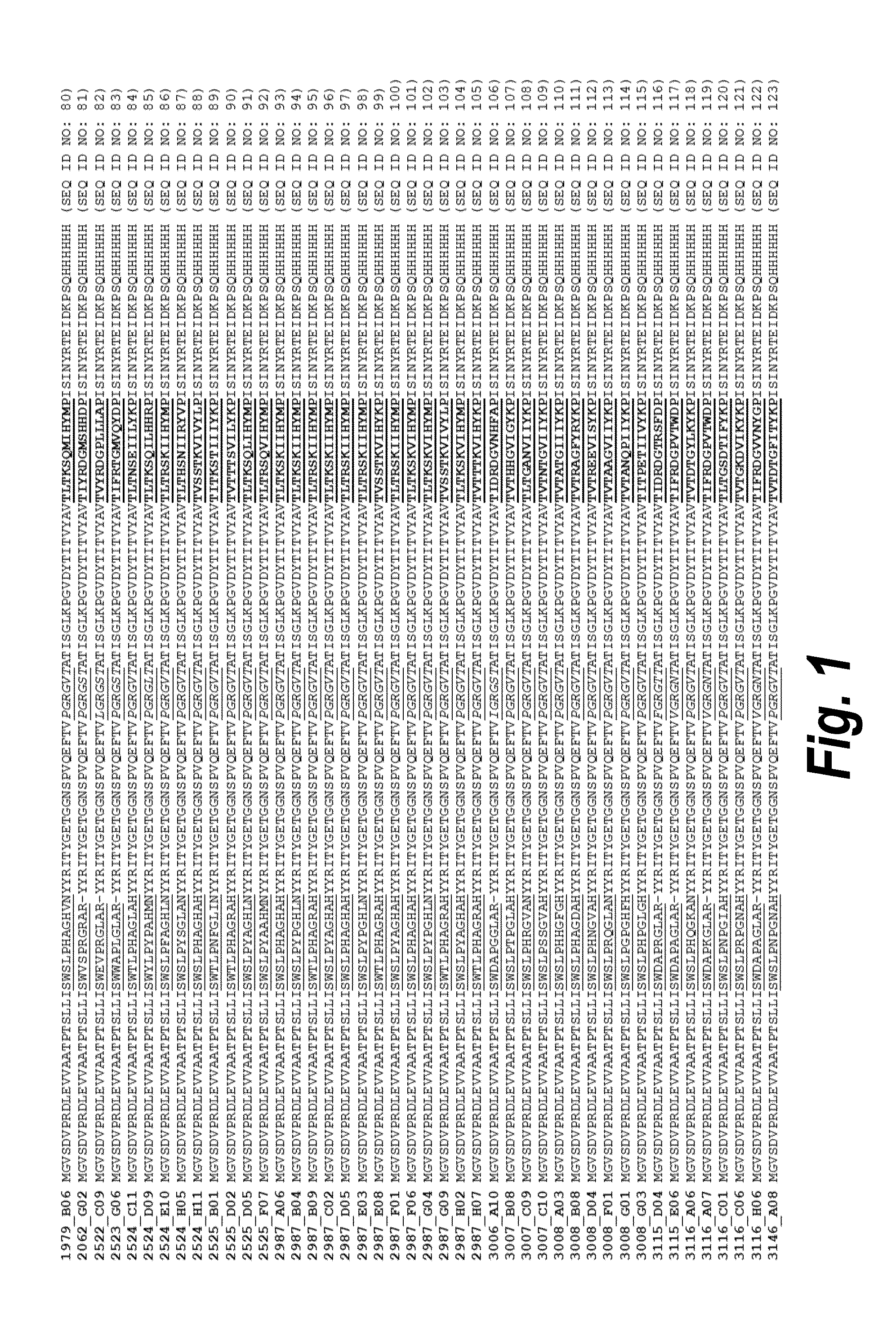 Fibronectin based scaffold domain proteins that bind to myostatin