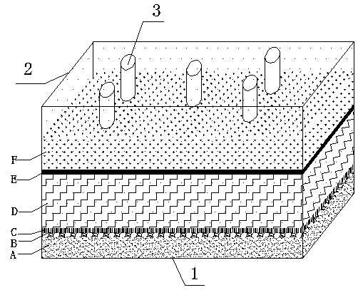 Camellia oleifera forest soil aging system and manufacturing method thereof