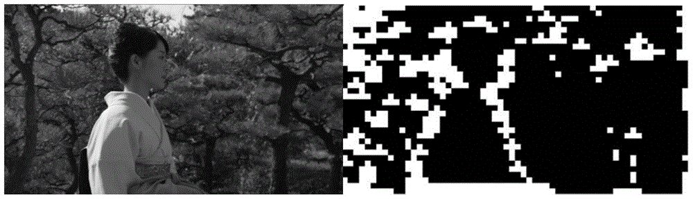 High efficiency video coding sensing rate-distortion optimization method based on structural similarity