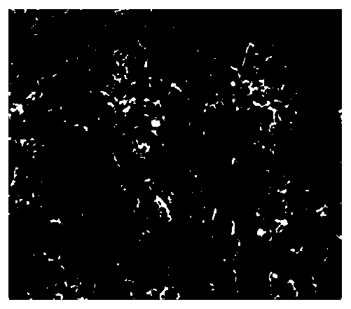 Loess microstructure image processing method