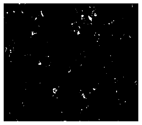 Loess microstructure image processing method