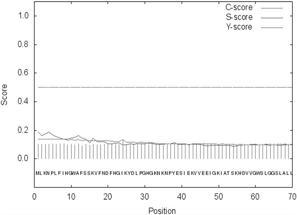 Thermophilic esterase derived from Aquifex aeolicus strain and expression thereof