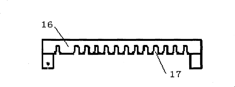 Portable capillary pipe electrophoresis apparatus