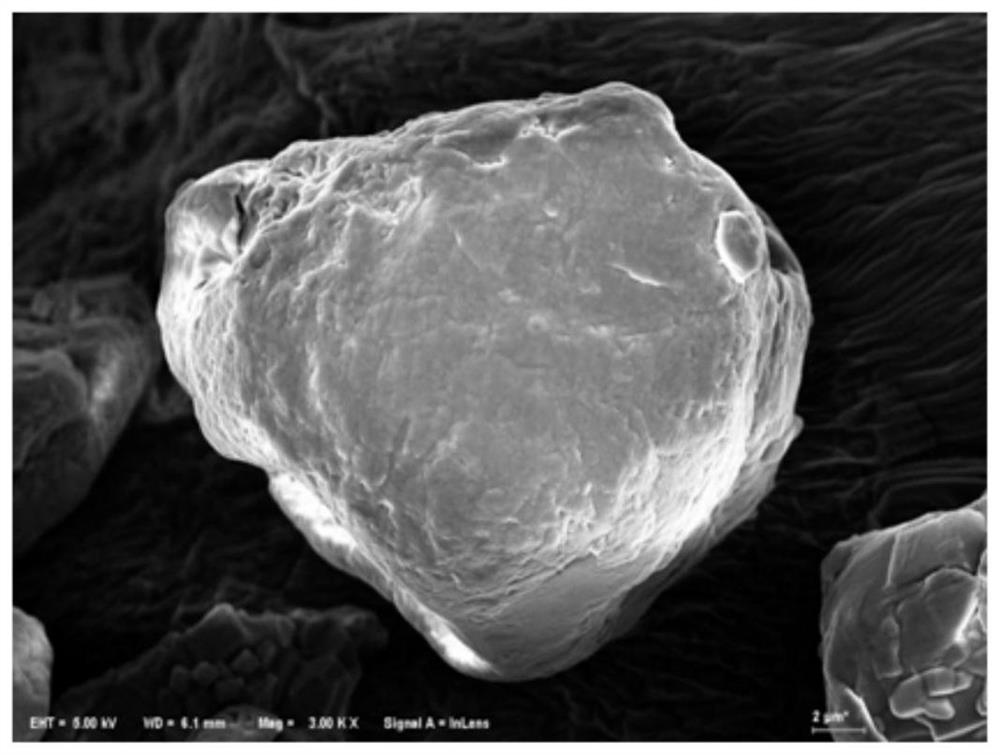 Method for preparing flame-retardant polypropylene by in-situ coating of modified ammonium polyphosphate