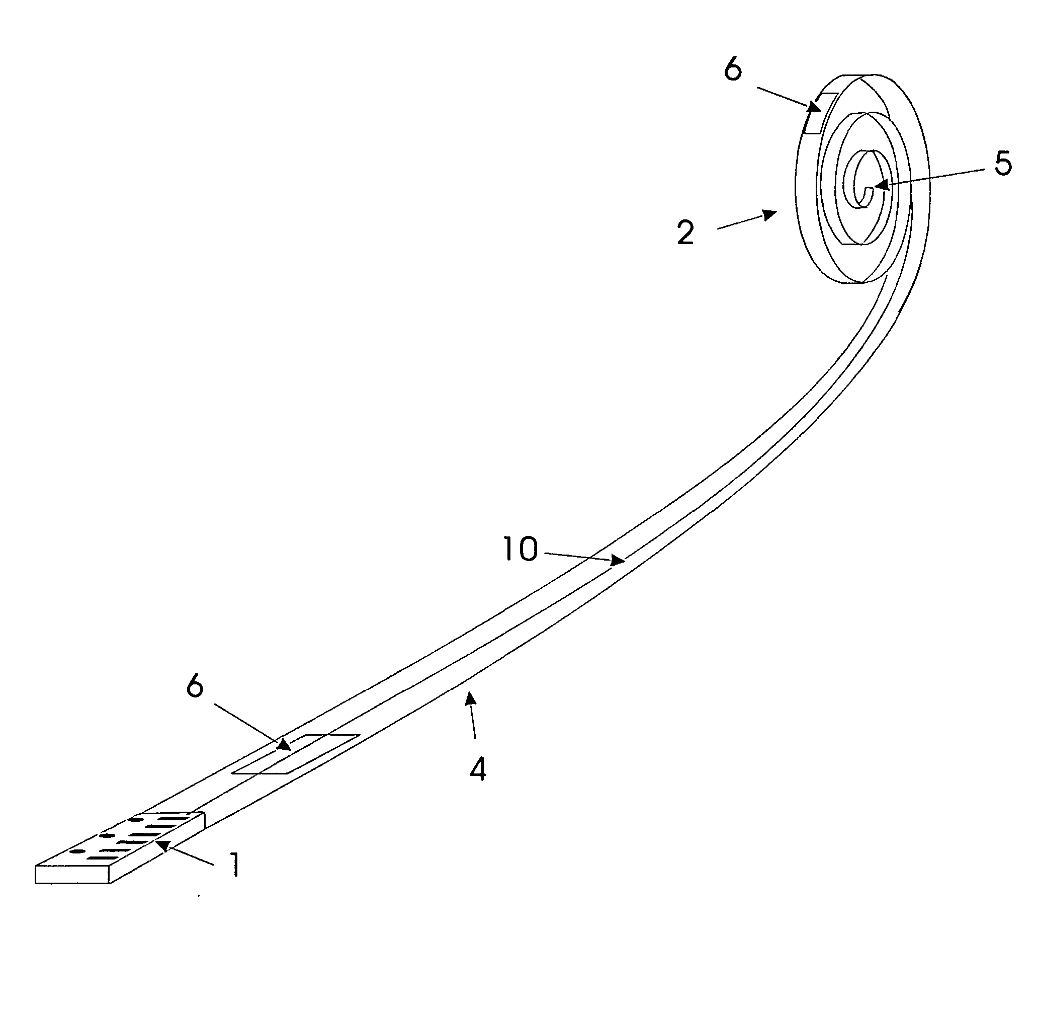 Self winding electric cord