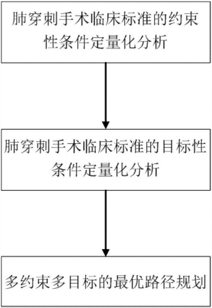 Optimal lung puncture operation path planning method and lung puncture operation navigation system